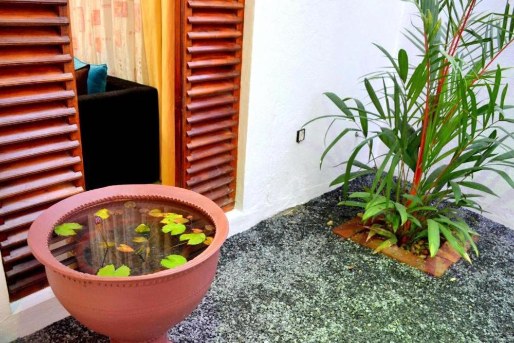 Sobaya Residence Ambalantota Exteriér fotografie